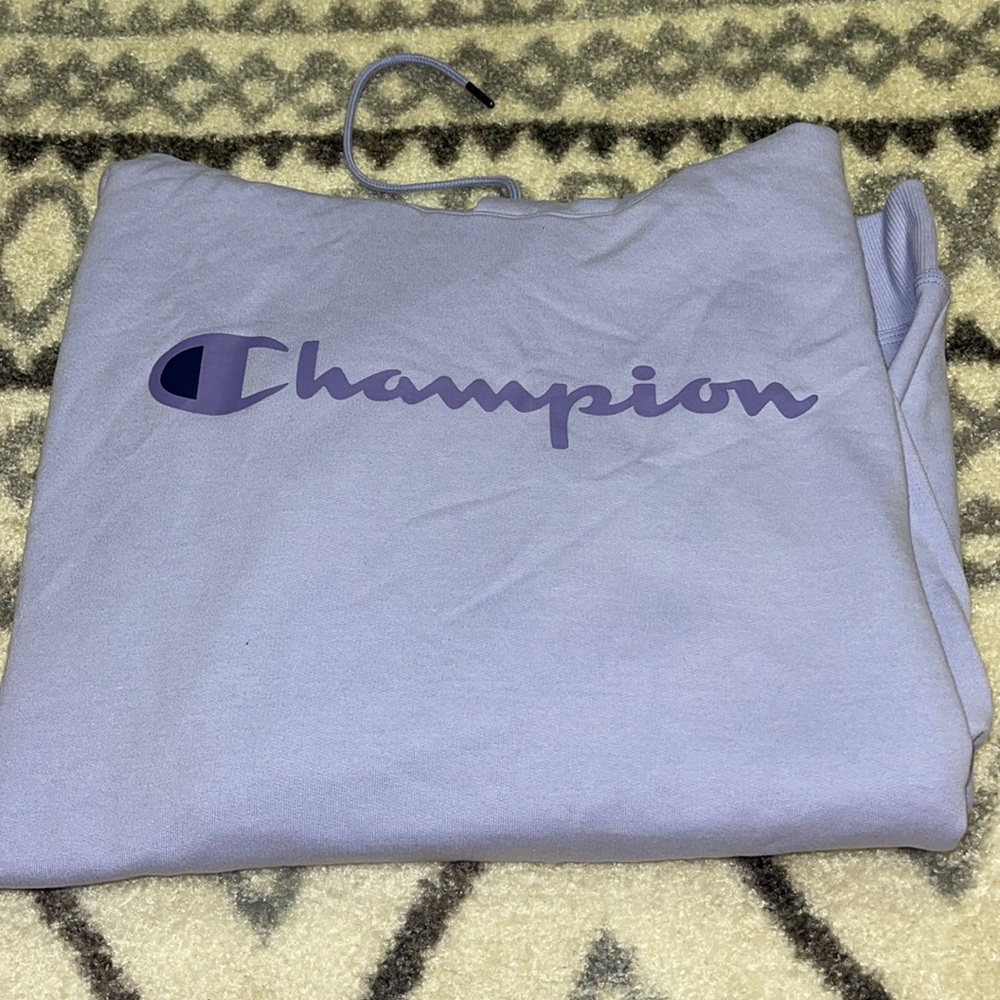 Champion hoodie
